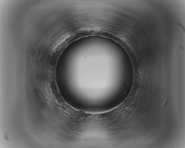 X0000101120967200806261432