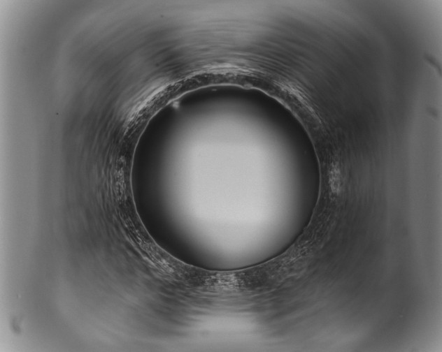 X0000101120968200806261432