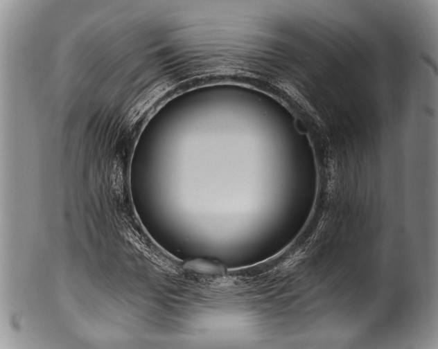 X0000101120969200806261432