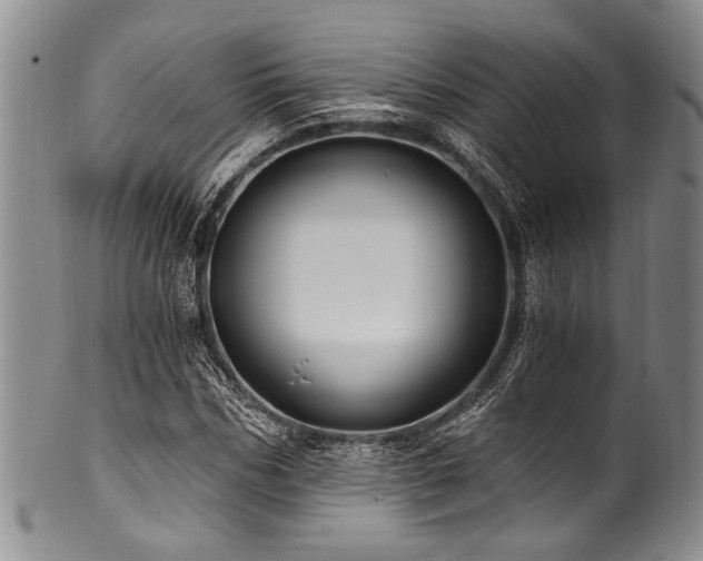 X0000101120970200806261432