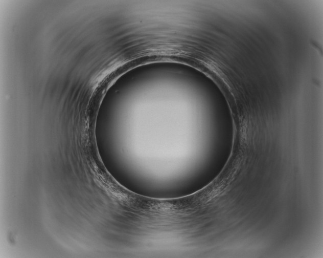 X0000101120971200806261432
