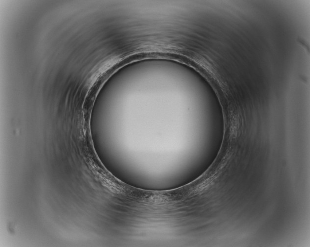 X0000101120974200806261432