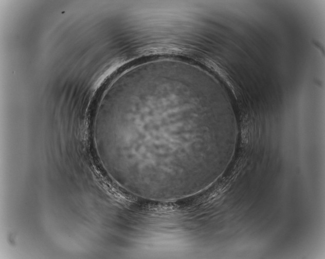 X0000101120975200806261432