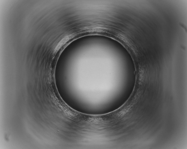 X0000101120978200806261432