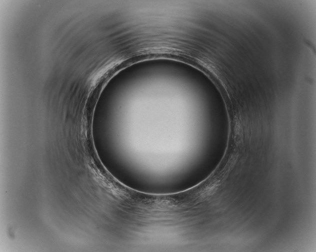 X0000101120979200806261432