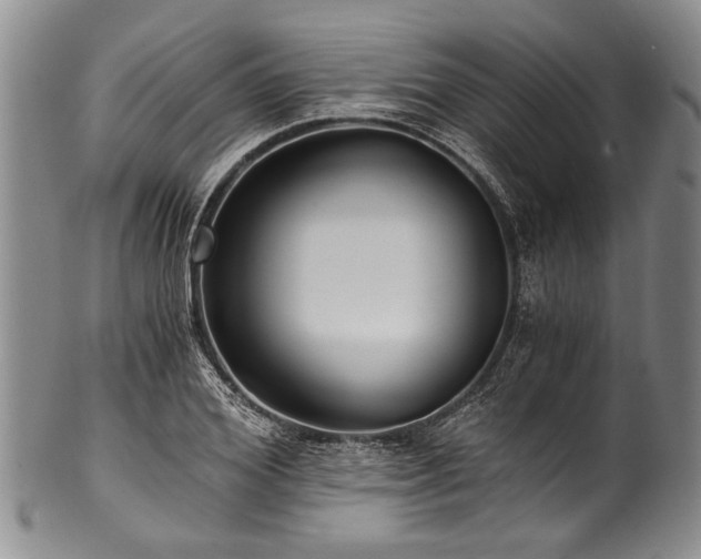 X0000101120980200806261432