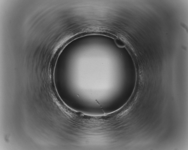 X0000101120981200806261432