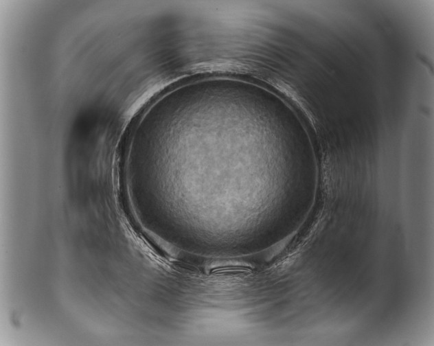 X0000101120983200806261432