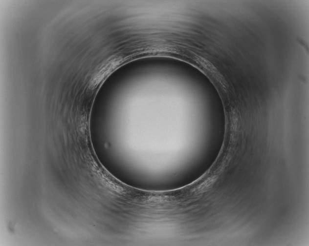 X0000101120985200806261432