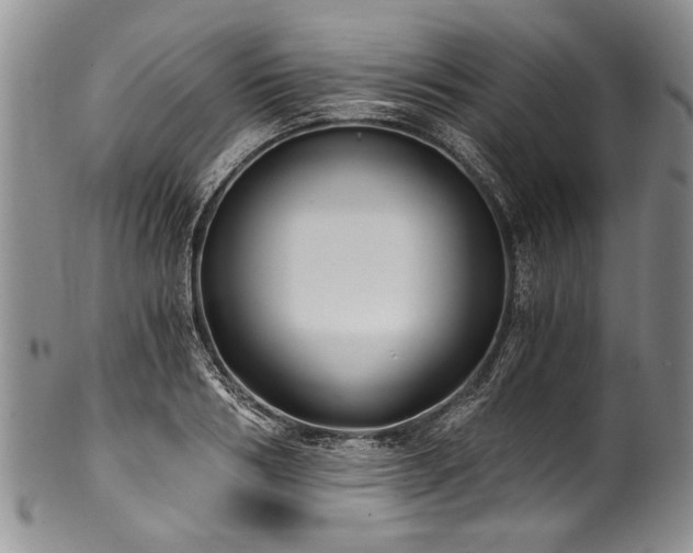 X0000101120986200806261432