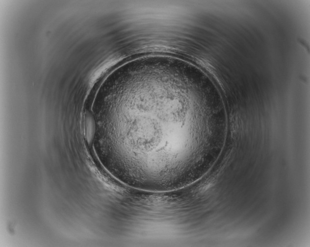 X0000101120987200806261432