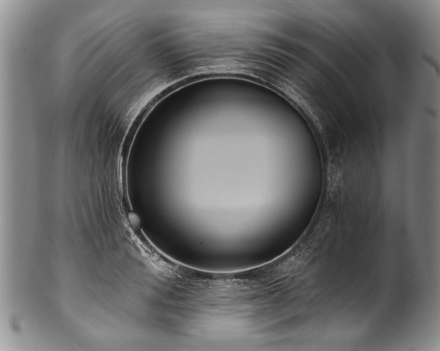 X0000101120988200806261432