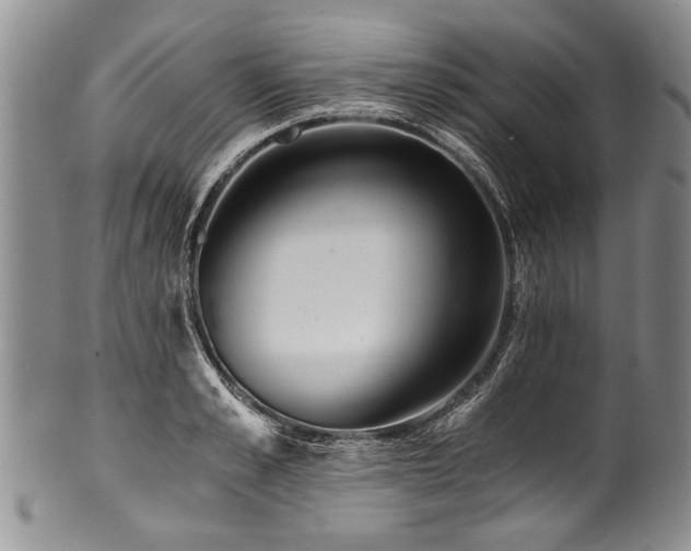 X0000101120989200806261432