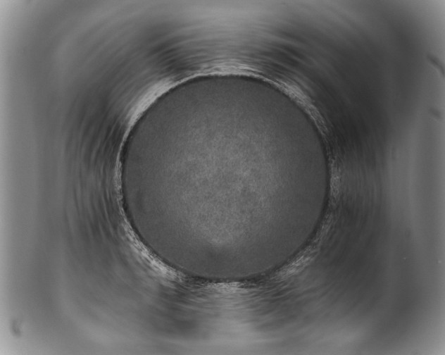 X0000101120990200806261432