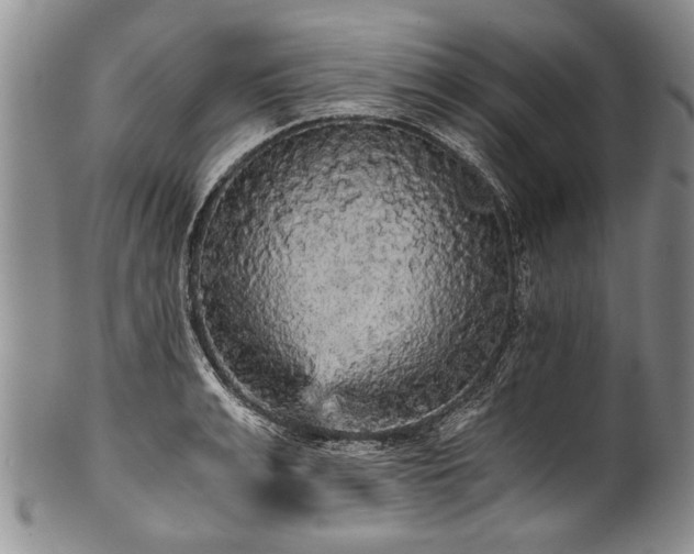 X0000101120991200806261432