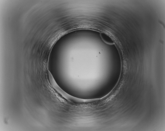 X0000101120993200806261432