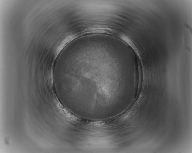 X0000101120994200806261432