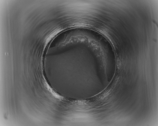 X0000101120995200806261432