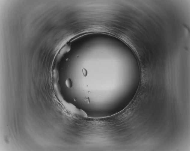 X0000101120996200806261432