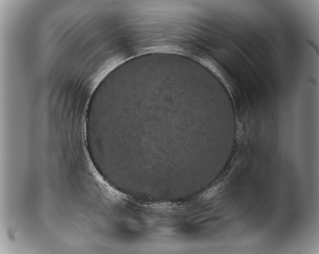 X0000101120999200806261432
