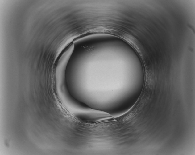 X0000101121000200806261432