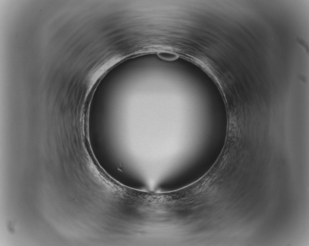 X0000101121003200806261432