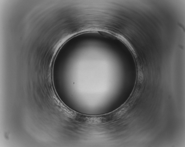 X0000101121004200806261432