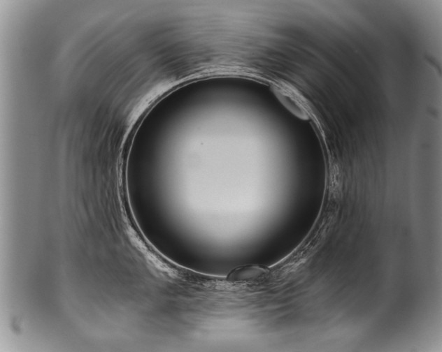 X0000101121005200806261432