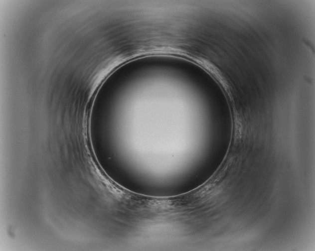 X0000101121006200806261432