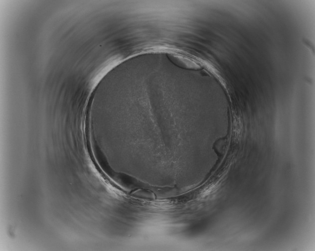 X0000101121007200806261432