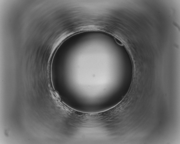 X0000101121008200806261432