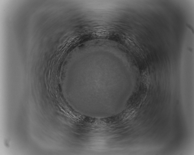 X0000101121009200806261431