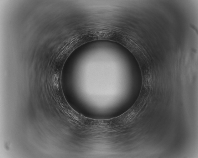 X0000101121010200806261431