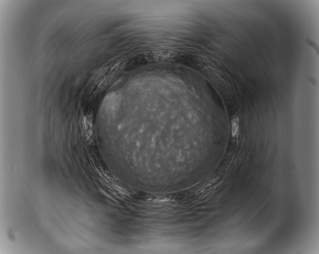 X0000101121011200806261431