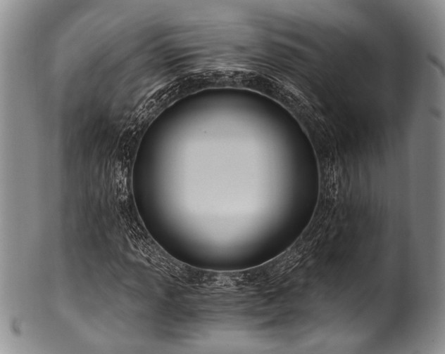 X0000101121013200806261431