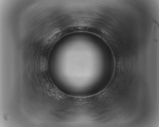 X0000101121014200806261431