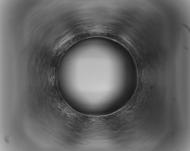 X0000101121015200806261431