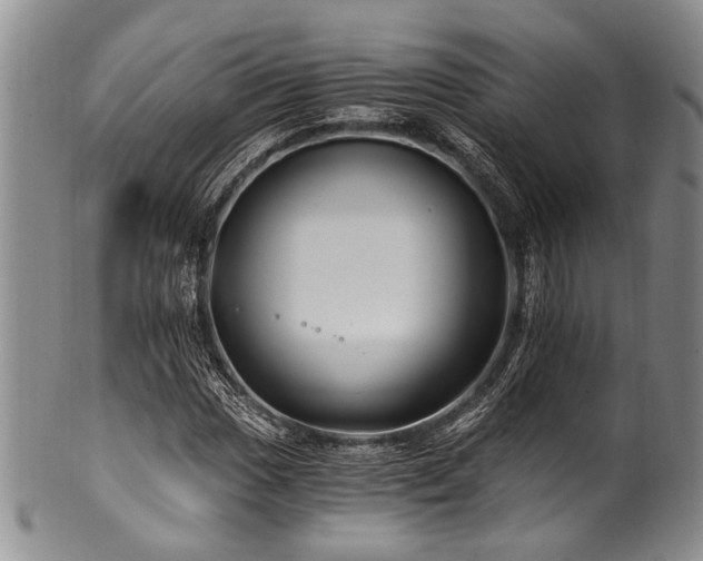 X0000101121017200806261431