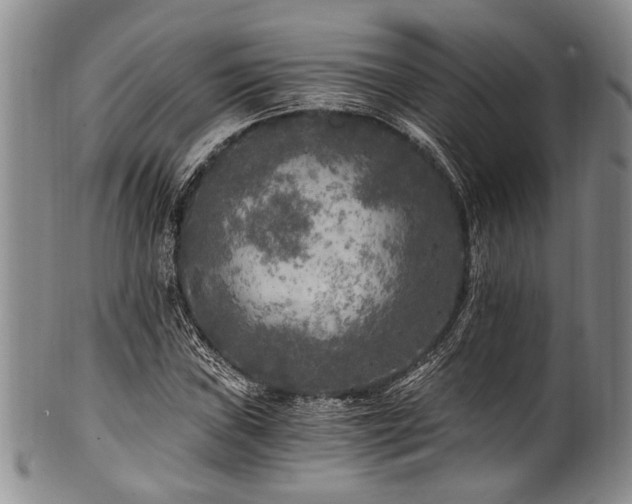 X0000101121019200806261431