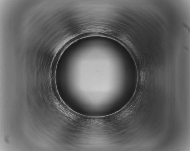 X0000101121020200806261431