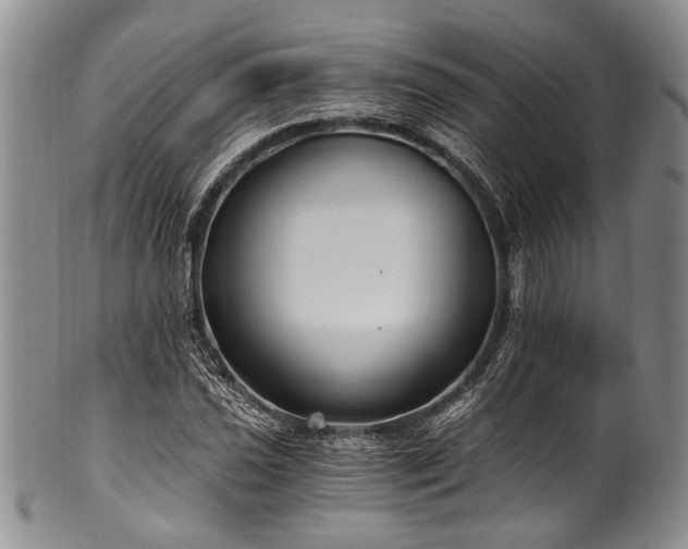 X0000101121021200806261431