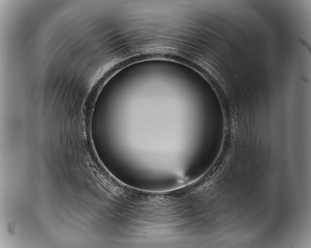 X0000101121022200806261431