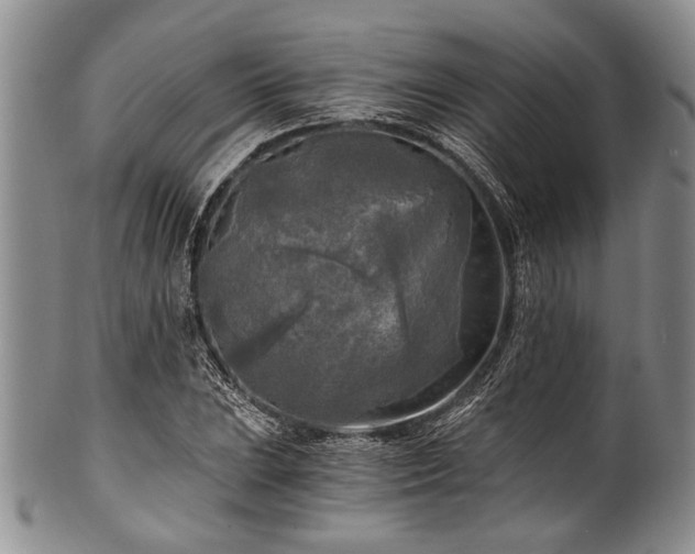 X0000101121023200806261431