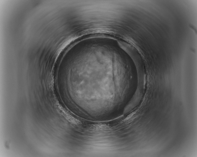X0000101121024200806261431