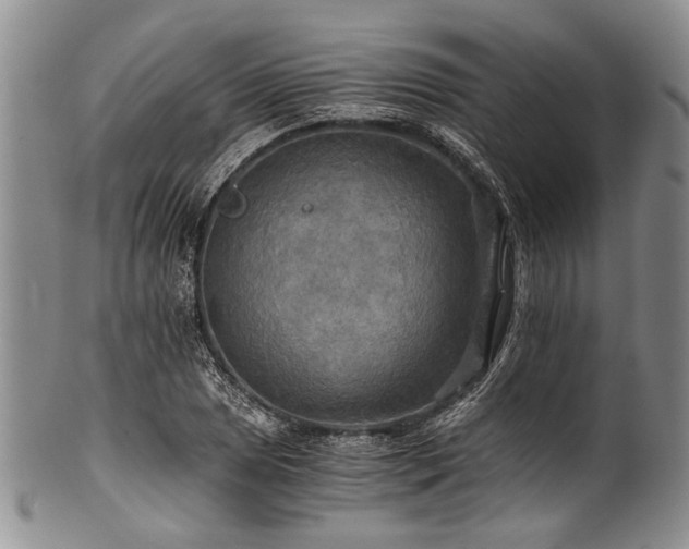 X0000101121025200806261431