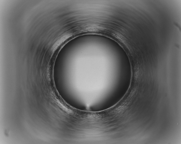 X0000101121026200806261431