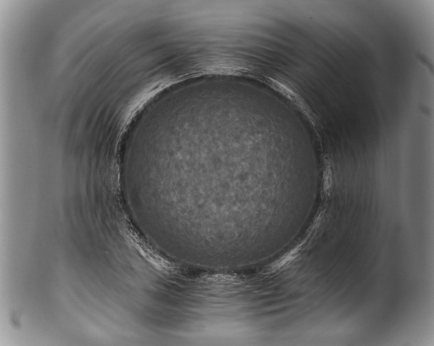 X0000101121027200806261431