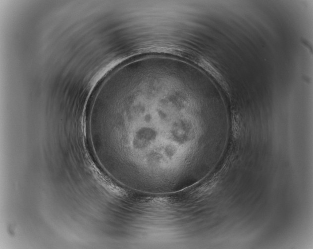 X0000101121028200806261431