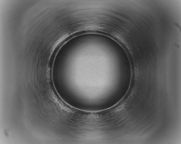 X0000101121029200806261431