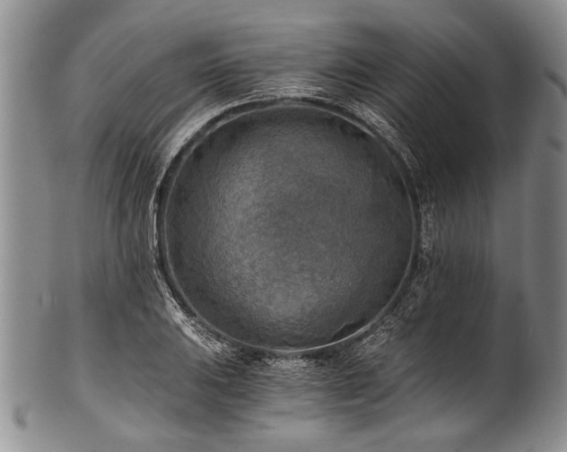 X0000101121031200806261431